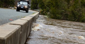 Canberra region heads for its wettest November on record, up to 60 mm forecast this weekend