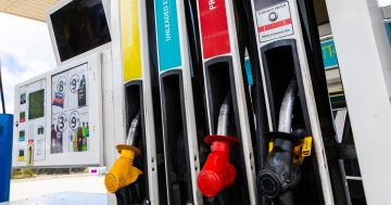 Fuel excise was cut and prices fell, but that was then, what's happening now?