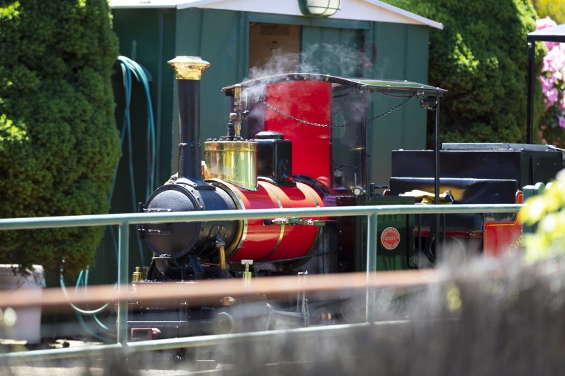 train at Cockington Green