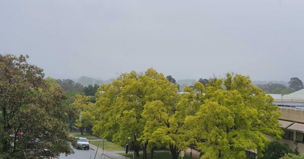 BOM updates forecast to 45 mm of rain today