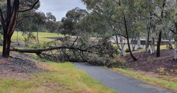 UPDATED: Flood risk for the ACT and NSW with up to 50 mm forecast for Friday