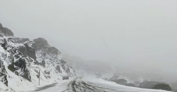 Canberra region braces for the cold but the dams are full ahead of summer months