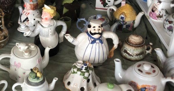Teapot collection causes a stir in Boorowa Community Op Shop window