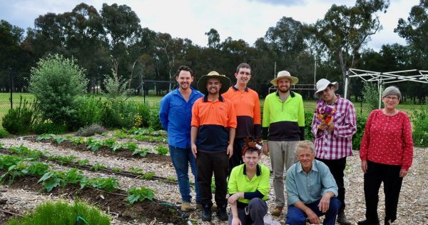 Meet the gardeners who are growing skills, community and a bumper crop