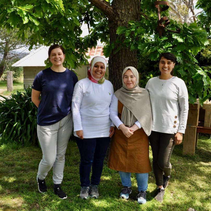 Four smiling women standing under a tree