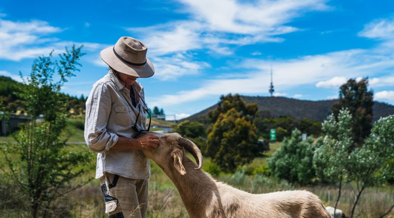 Elisabeth Larsen with a goat