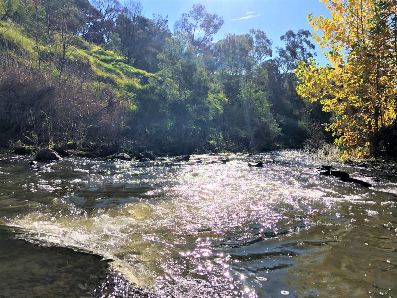 Queanbeyan River