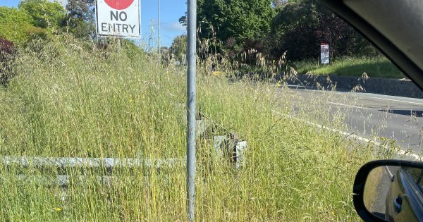 Long grass topped Canberrans' concerns last year (even beating potholes)