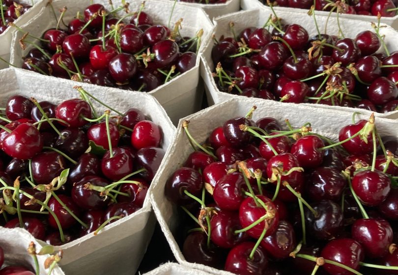 Punnets of cherries