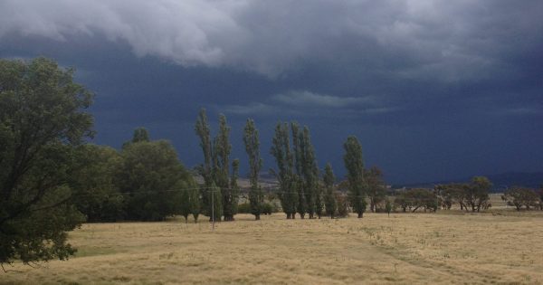 Thunderstorm asthma warning issued by ACT Health