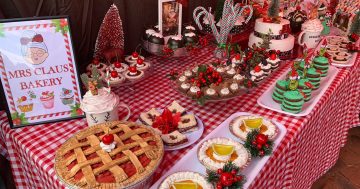 Mrs Claus's amazing Christmas display in Kambah looks good enough to eat