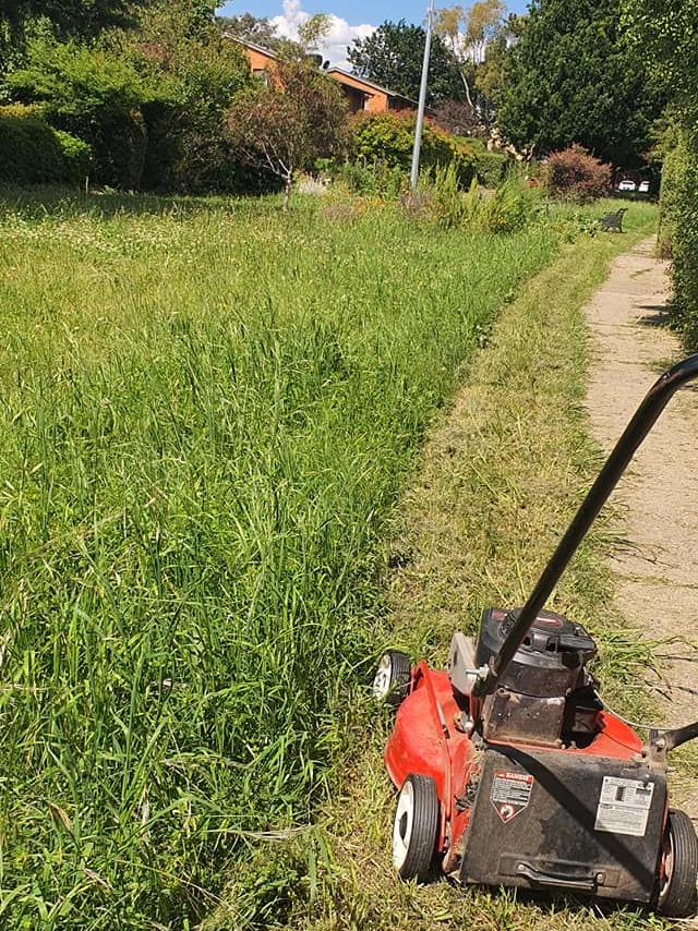 Lawnmower