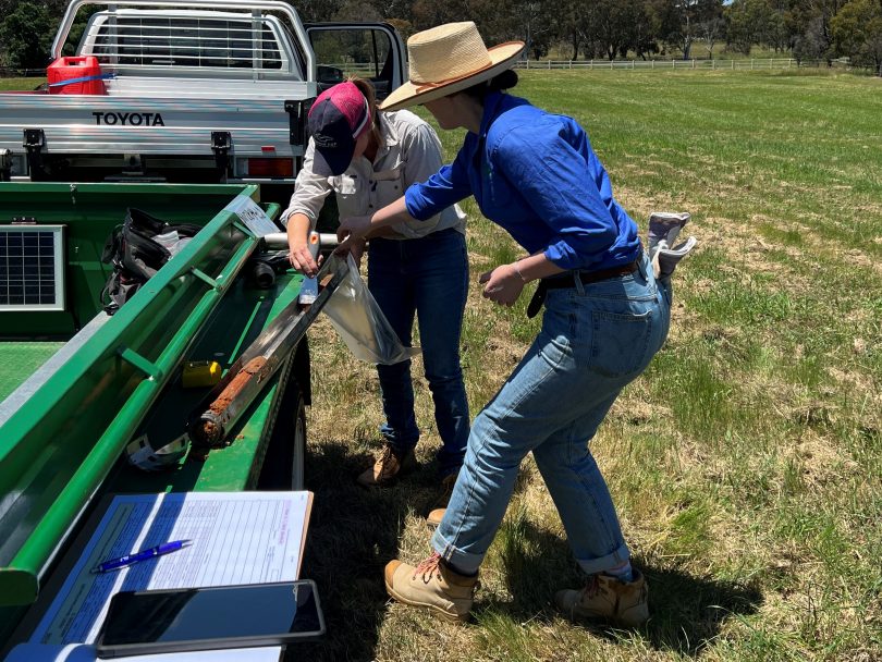 Agriprove field technicians Imogen Hickey and Kate Carmichael conducting soil testing on rural property