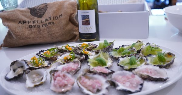 Sweet, briny South Coast oysters are a heavenly match for Canberra wines