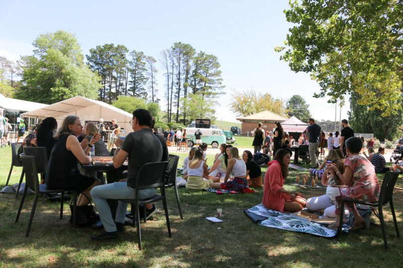 People sitting on lawn at festival event