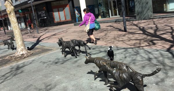Story behind Civic's sculptures of menacing, ghostly dogs with pyjamas