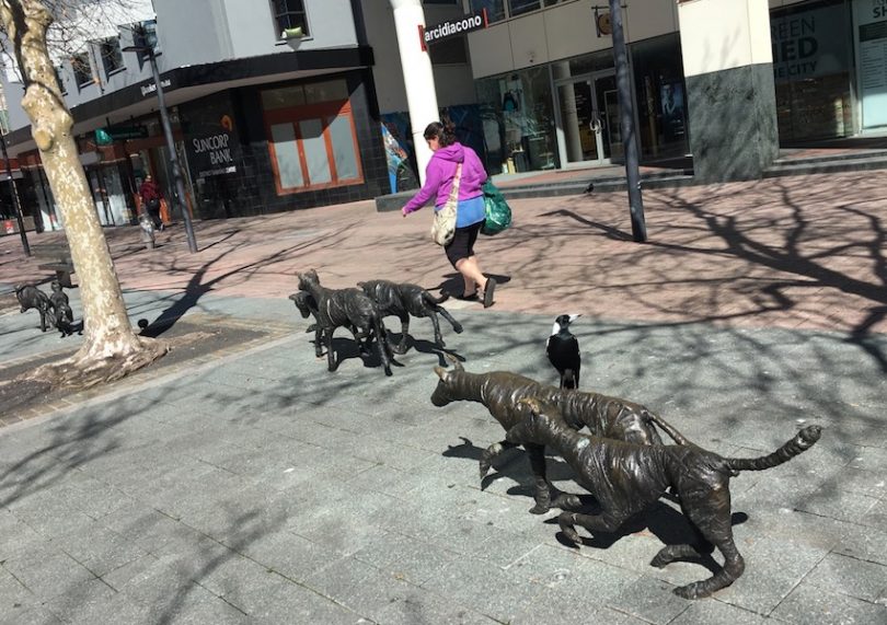 'bush pack (nil tenure)' sculptures in Civic