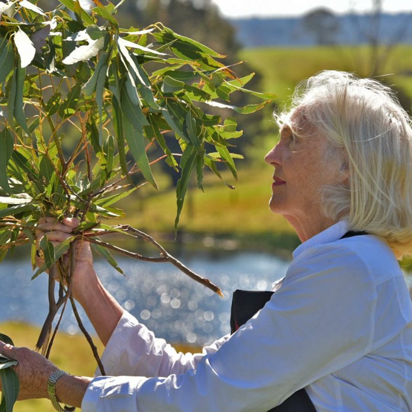 Sandra McCuaig with gum leaves