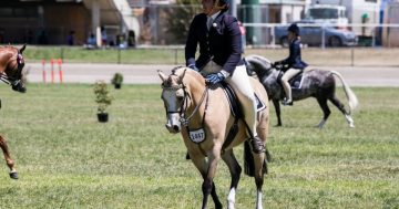 Royal Canberra Show confirms its awaited return