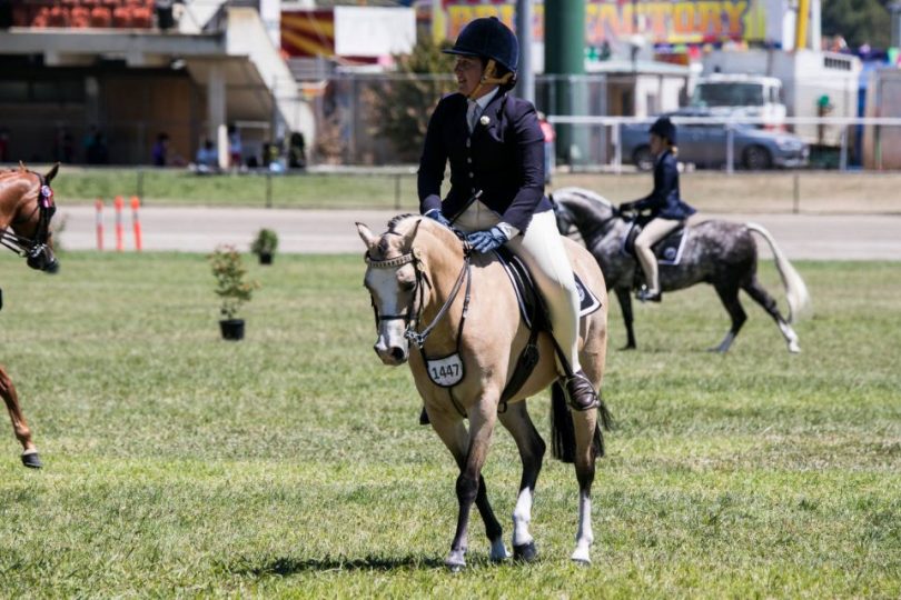 Woman on a horse