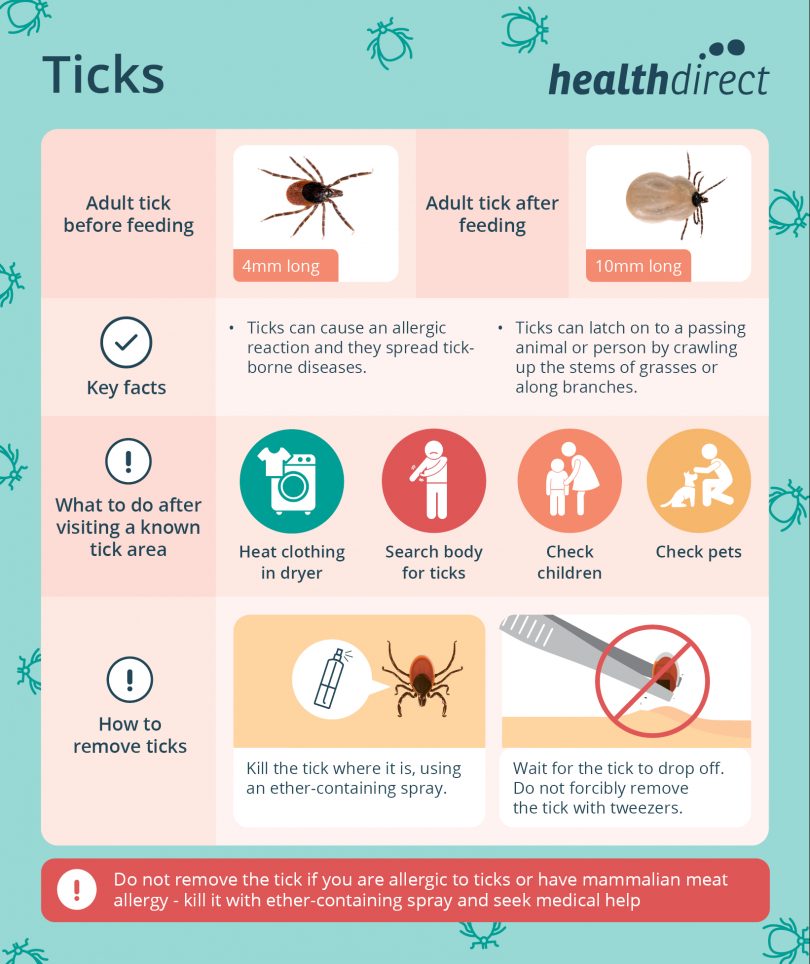 Tick infographic