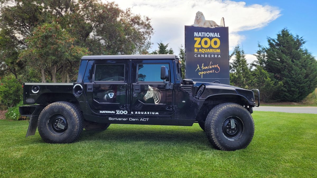 National Zoo and Aquarium Hummer to be used in night tours.