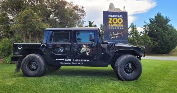 Zoo promises a wild night out with new packaged tours