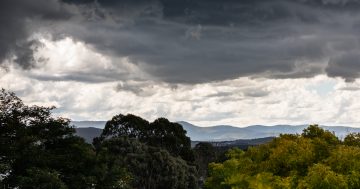Severe thunderstorm warning with damaging winds, large hailstones and heavy rainfall issued for Canberra