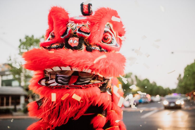 Lion dancer