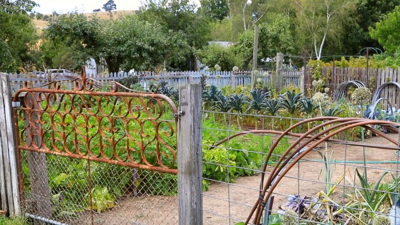 Vegetable garden