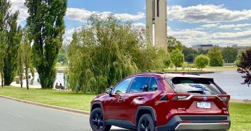 Canberra's favourite car just makes sense