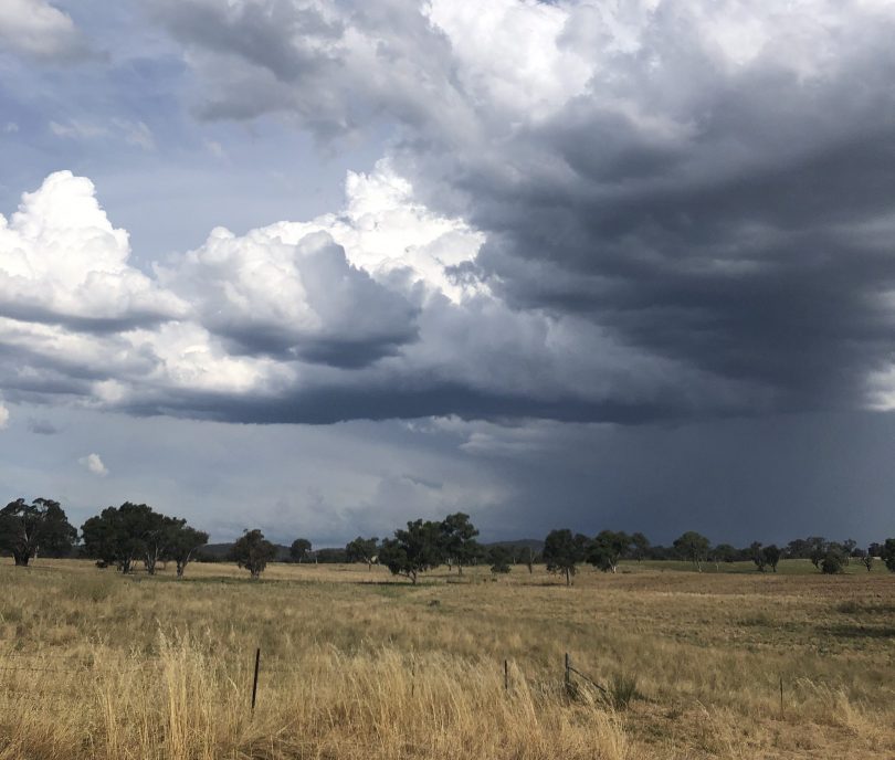 Clouds over a paddock