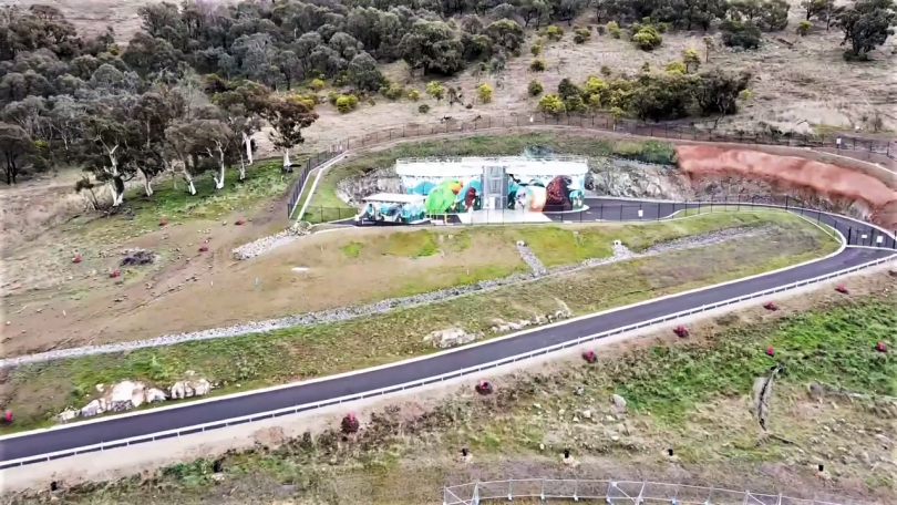 A mural on One Tree Hill in Taylor