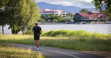 New works announced to clean up Lake Tuggeranong's water quality