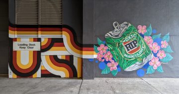 Beer mural near Indigenous art removed as 'inappropriate'