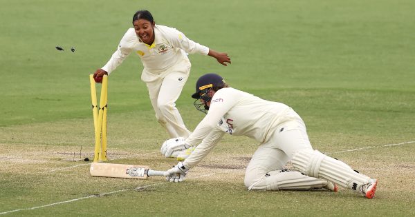 Ash Barty and the Women’s Ashes at Manuka: women’s sport, bring it on!