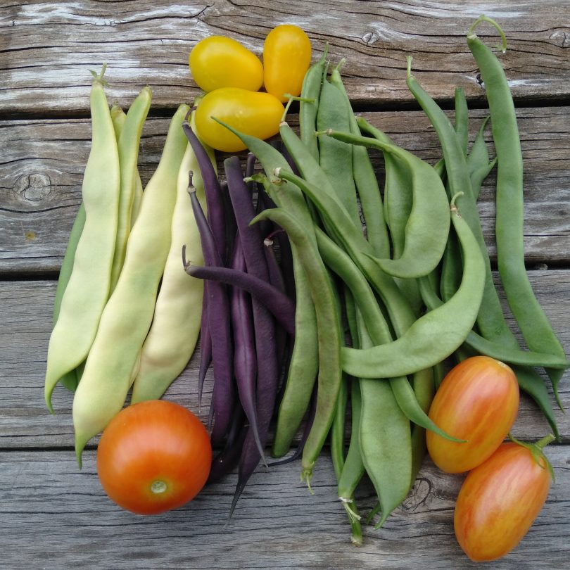 Beans and tomatoes