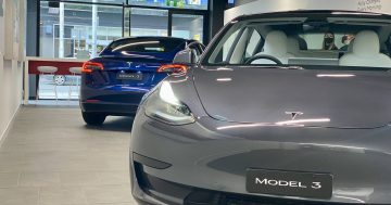 Tesla still Canberra's favourite EV, but when the rubber hits the road, we like 'em high and mighty