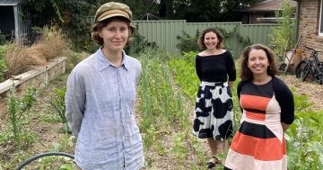 Could Canberra grow more of its own food?