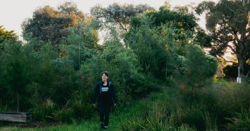 Canberra's 'micro-forest maker' looks to Eurobodalla for her next project