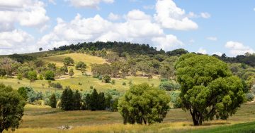 The best real estate agents in Murrumbateman