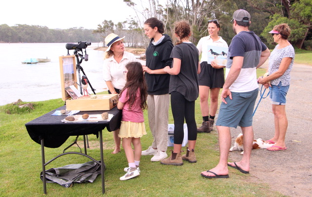 Shorebird education on location at Durras Lake.