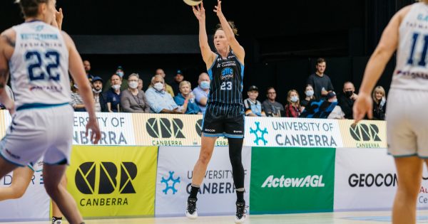If the UC Capitals win the WNBL title, it could be the greatest performance in the Club’s history