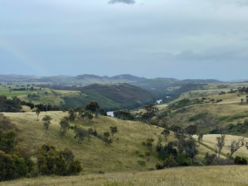 Views across the conservation corridor to the Murrumbidgee 