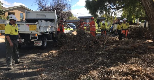 Belconnen storm clean up and recovery efforts to take months yet