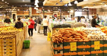 MarketPlace Fresh fruit and veg on the way to Westfield Woden