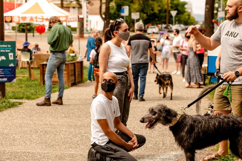 People wearing masks walking dogs