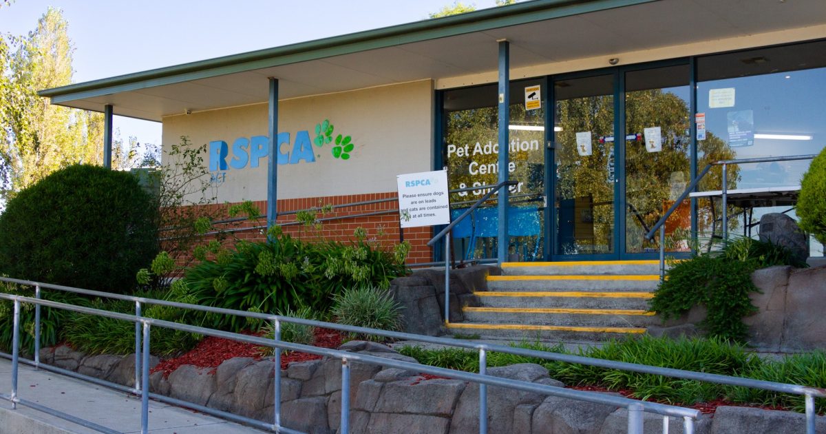 ACT faces animal crisis: RSPCA says parvovirus incident shows the move to a new site is urgent | Riotact