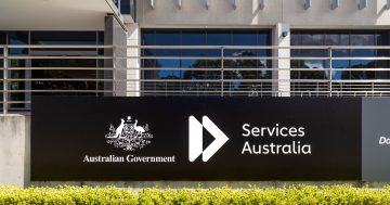 More Robodebt frontline staff accounts posted ahead of Royal Commission's final report