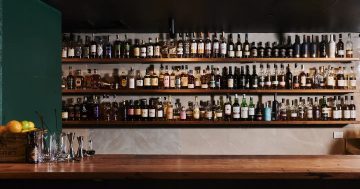 New cocktail bar in Braddon raises a glass to post-prohibition era